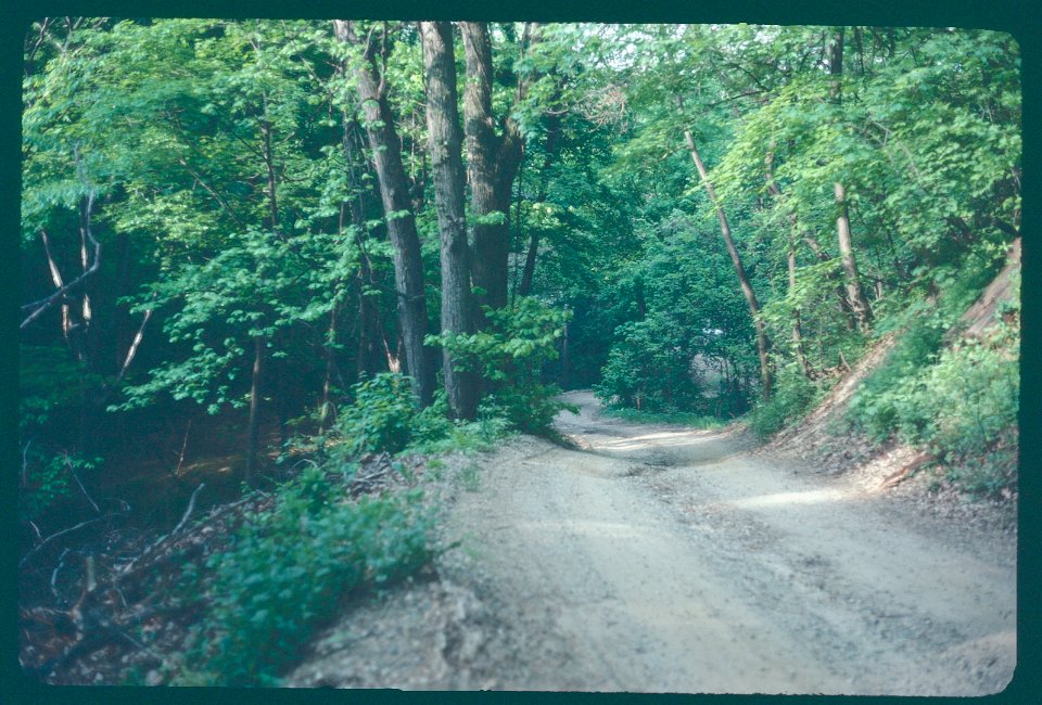 In Road 1981